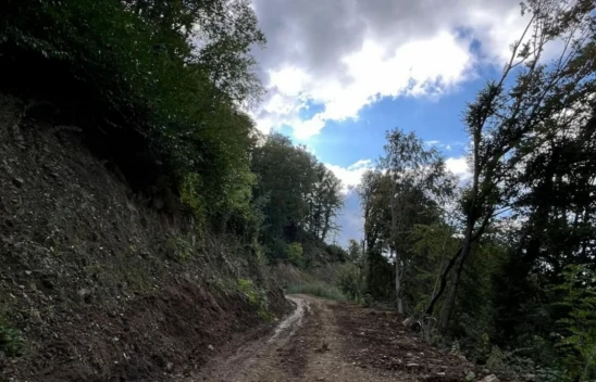 Düzensiz Yağışlar Kastamonu'da Orman Yollarını Olumsuz Etkiliyor