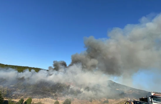 Eflani-Daday Yolunda Orman Yangını