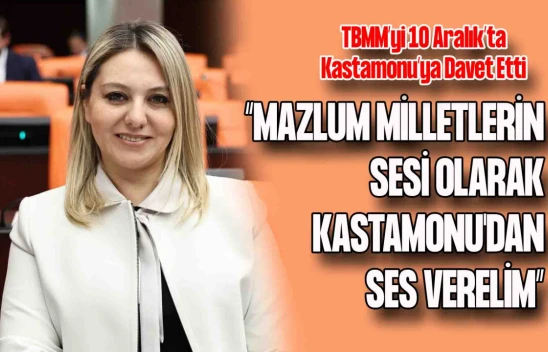 Ekmekci Meclis'te Konuştu: 10 Aralık'ta Kastamonu'ya Davet