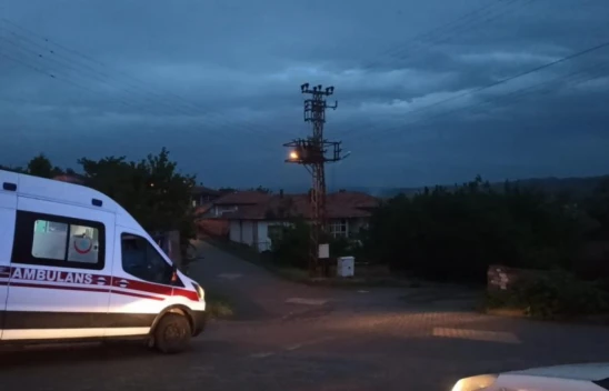 Elektrik Akımına Kapıldılar