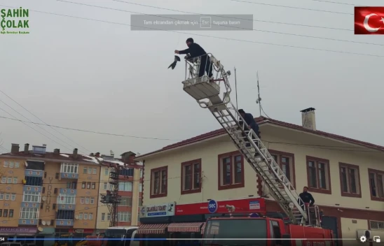 Elektrik Teline Takılan Güvercini İtfaiye Kurtardı
