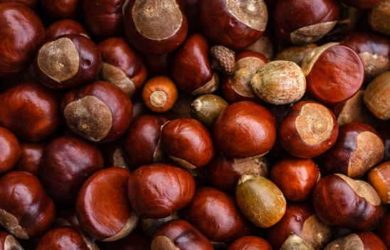 Evde Ustalara Taş Çıkartan Kestane Nasıl Yapılır?