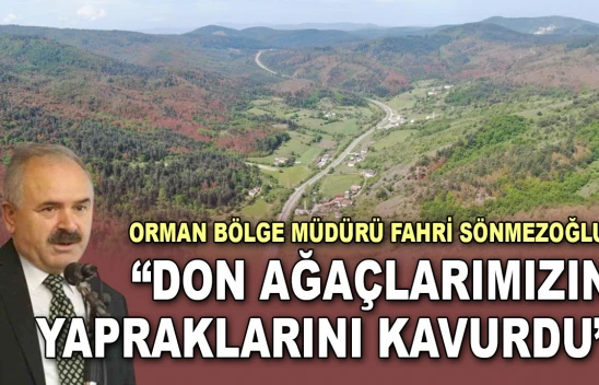 Fahri Sönmezoğlu: 'Don Ağaçlarımızın Açan Yapraklarını Kavurdu'