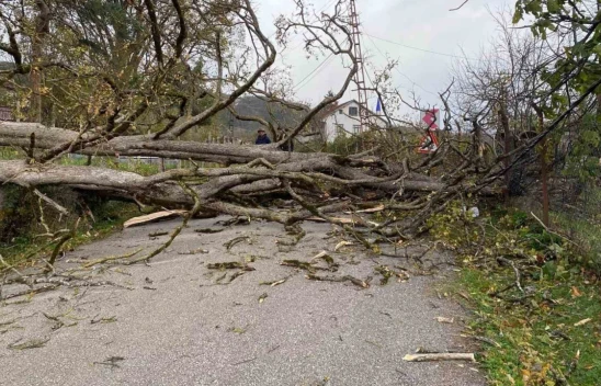 Çatalzeytin Savaş Alanı Gibi