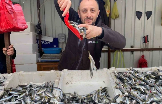 Balığa Olan İlgi Azaldı