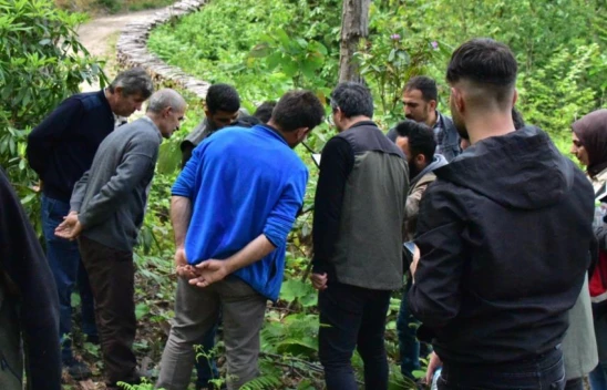 Gal Arılarına Karşı Biyolojik Mücadele Sürüyor