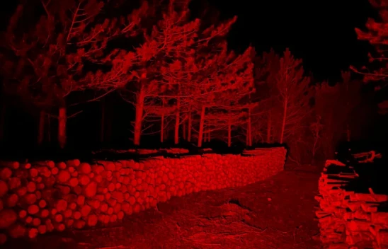 Gece Koruması Yapıldı