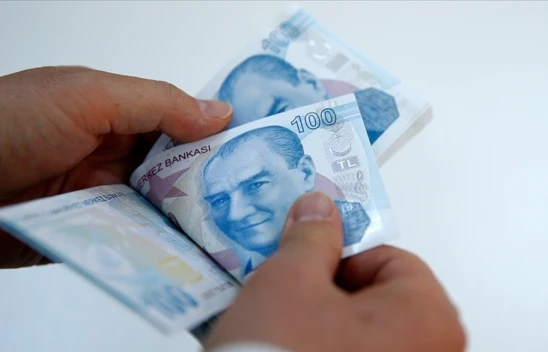 Gelir Tamamlayıcı Destek Programı Bu Yıl Başlayacak