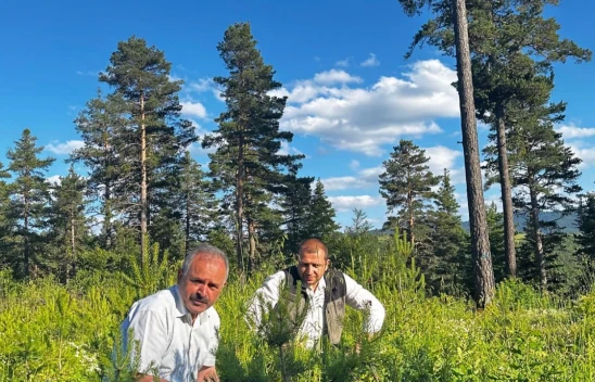 Gençleştirme çalışmalarını incelediler