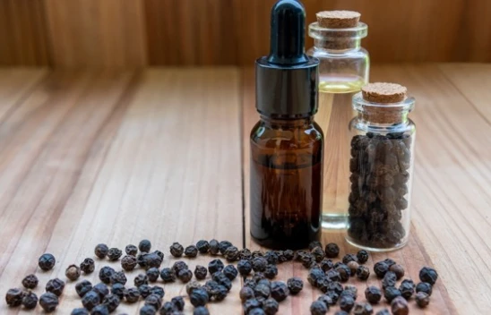 Gençlik İksiri: Üzüm Çekirdeği Yağının Bilinmeyen Gücü