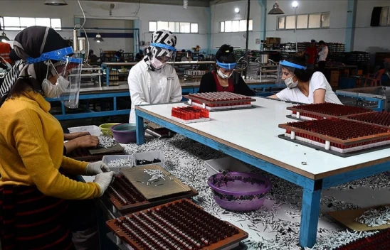 Girişimlerin Doğum Oranı Yüzde 16,1 Oldu