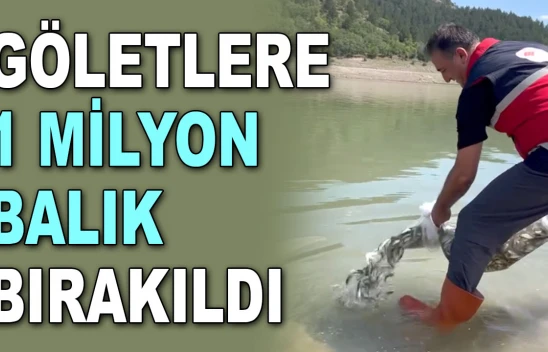 Göletlere 1 Milyon Balık Bırakıldı