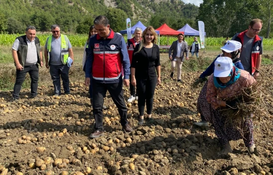 Hanönü'de İlk Patates Hasadı Yapıldı