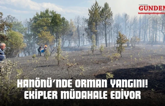 Hanönü'nde Orman Yangını! Ekipler Müdahale Ediyor