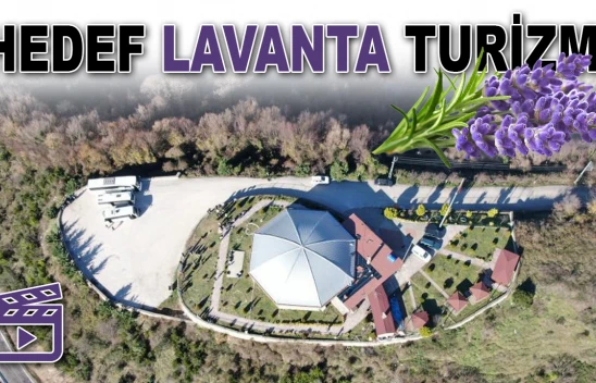 Hedef Lavanta Turizmi: Kastamonu Lavanta Kokacak