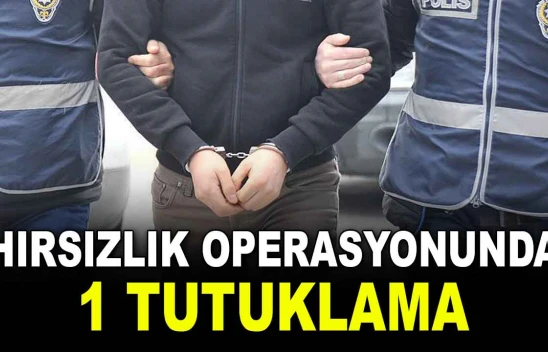 Hırsızlık Operasyonunda 1 Tutuklama