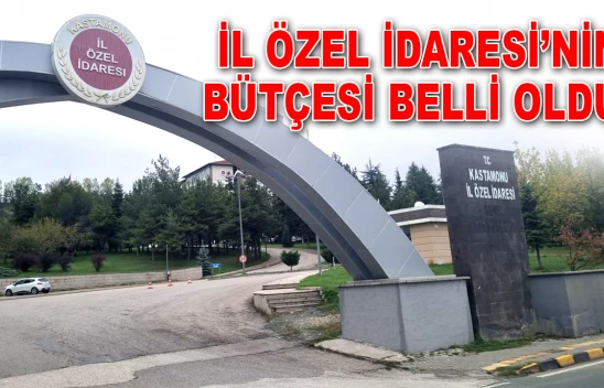 İl Özel İdaresi'nin Bütçesi Belli Oldu