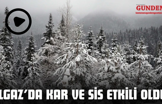 Ilgaz'da Kar Ve Sis Etkili Oldu