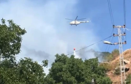 Ilgaz'da yine orman yangını!