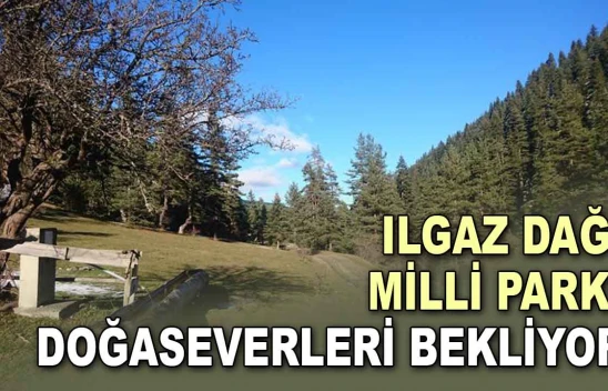 Ilgaz Dağı Milli Parkı Doğaseverleri Bekliyor