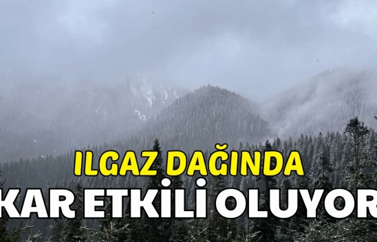 Ilgaz Dağı'nda Kar Yağışı Etkili Oldu