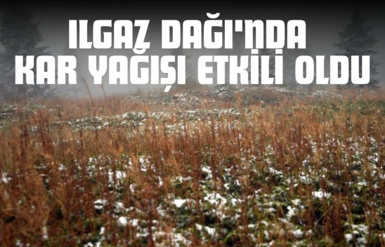 Ilgaz Dağı'nda Kar Yağışı Etkili Oldu