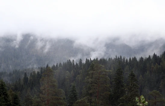 Ilgaz Dağı'nda Sis Etkili Oldu