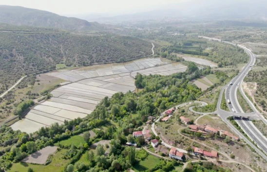 Ilgaz'ın Beslediği Tarlalarda Çeltik Ekimi Başladı