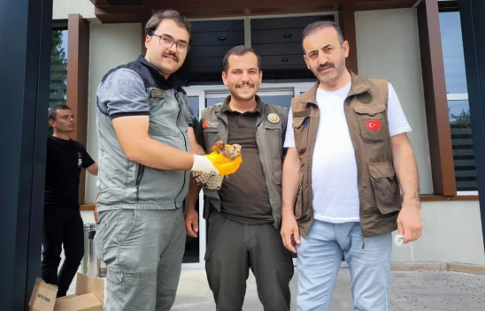 İlk Yardım Ormancılardan