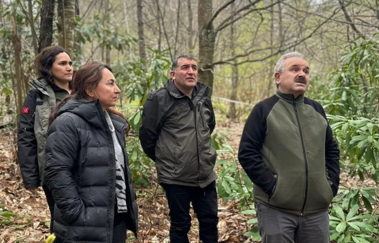 İnebolu ormanları, üretimin merkezi olacak