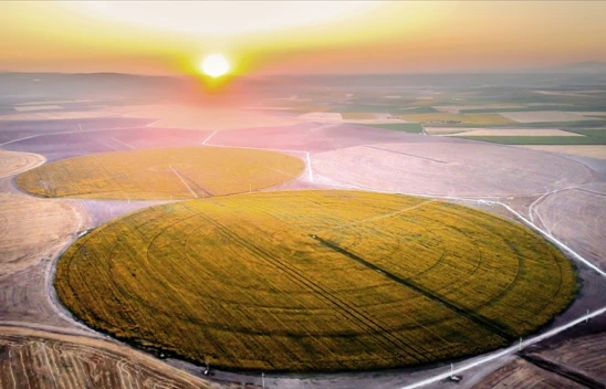 IPARD III Programı Beşinci Çağrı İlanı Yayımlandı