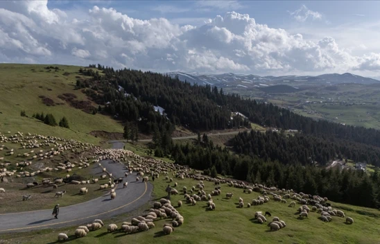 İstihdamın, Sektöre Nefes Aldırması Bekleniyor