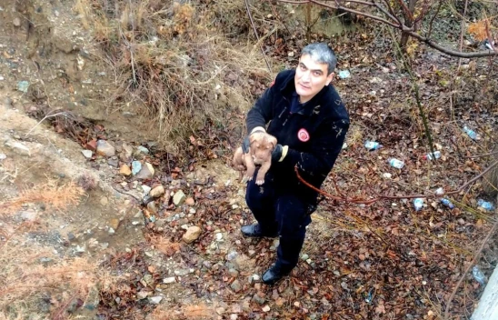 İstinat Duvarından Düşen Köpek Kurtarıldı