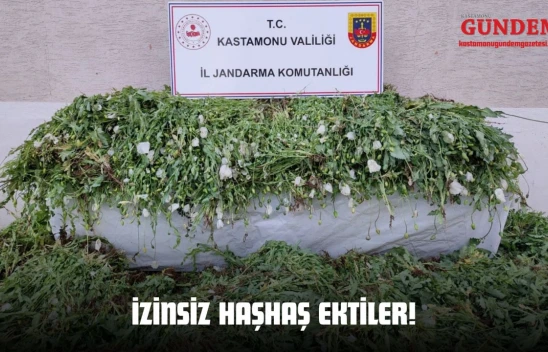 İzinsiz Haşhaş Ektiler!