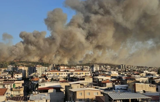 İzmir Buca'da Orman Yangını