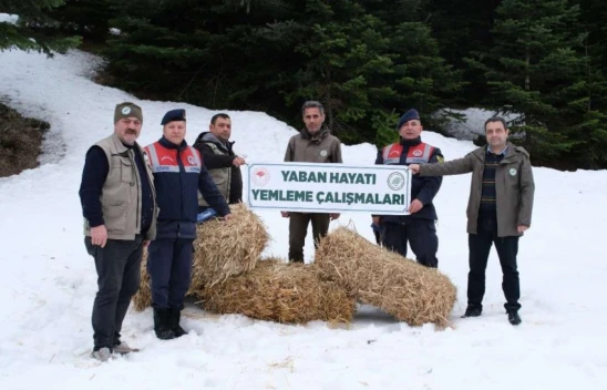 Jandarma Doğaya Yem Bıraktı