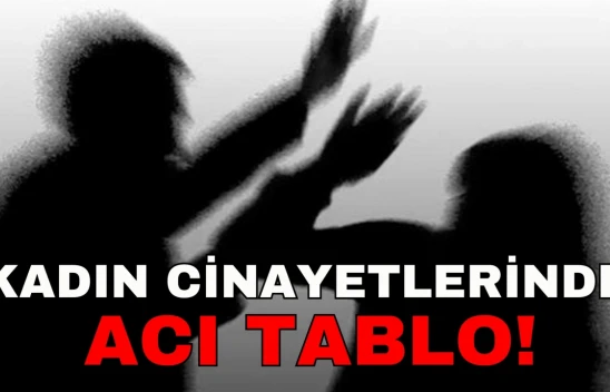 Kadın Cinayetlerinde Acı Tablo!