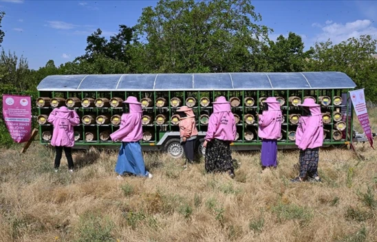 Kadınlara Arıcılık Fırsatı