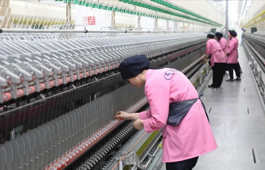 Kadınların İş Gücüne Katılım Oranı Yüzde 36,6'ya Ulaştı