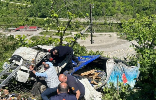 Kamyon Tarlaya Devrildi: 2 Yaralı