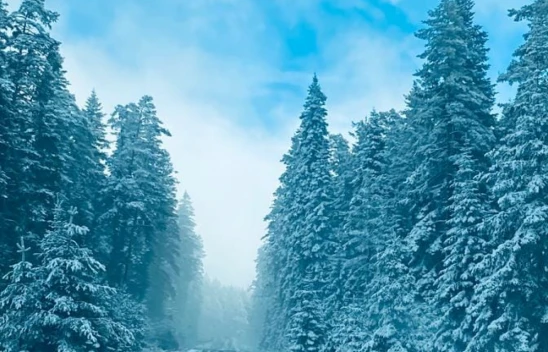 Kar Manzaraları Mest Ediyor