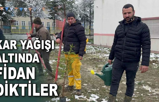 Kar Yağışı Altında Fidan Diktiler