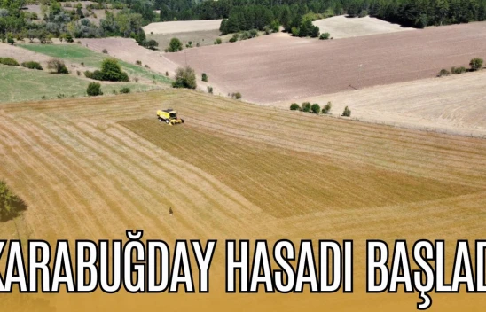 Karabuğday Hasadı Başladı