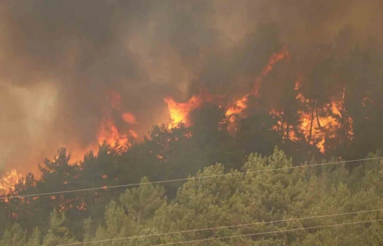 Karabük'te 29 Saattir Süren Orman Yangını Yeniden Alevlendi