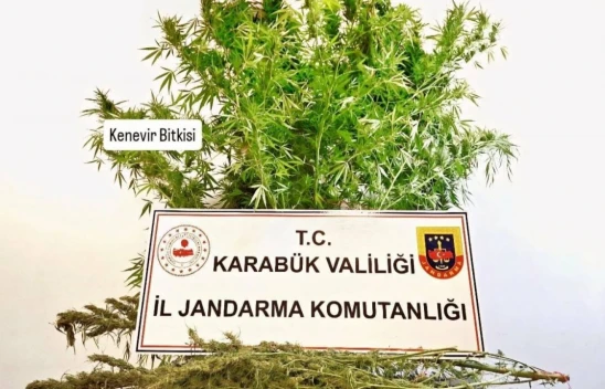 Karabük'te Kenevir Ve Esrar Bulundu