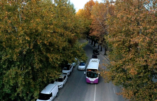 Karaçomak Deresi'nde Sonbaharın Renkleri Hakim