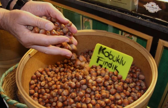 Karadeniz Fındığının Kalitesi İspatlandı