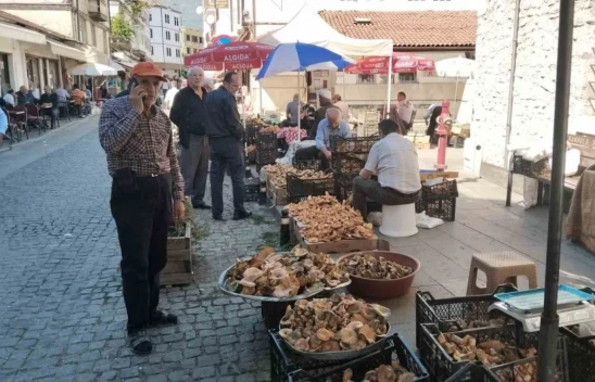 Kasa Kasa Kanlıca Mantarında Fiyatlar Düştü