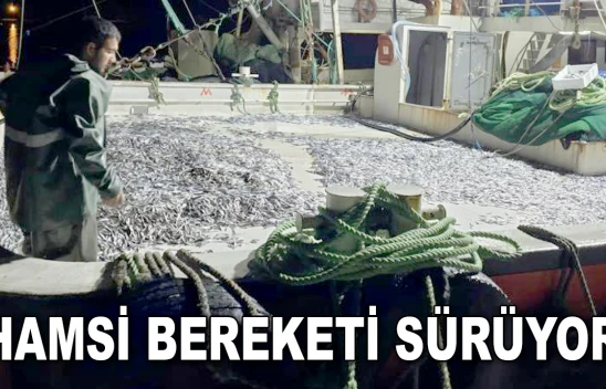 Kasalar Dolusu Hamsi İle Döndüler