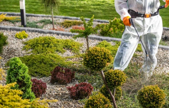 Kastamonu Belediyesi, İlaçlama Rotalarını Açıkladı